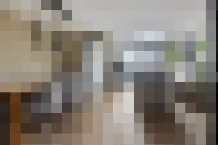 Van Laarstraat 18 Hardenberg thumbnail 6