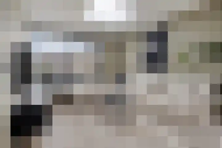 Van Laarstraat 18 Hardenberg thumbnail 7
