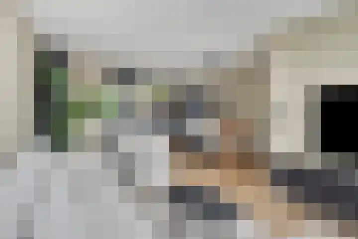 Van Laarstraat 18 Hardenberg thumbnail 8