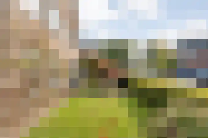 Van Laarstraat 6 Hardenberg thumbnail 10