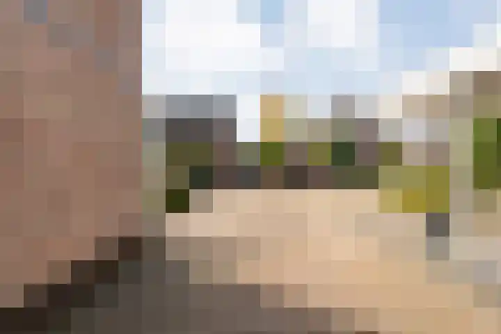Van Laarstraat 6 Hardenberg thumbnail 12