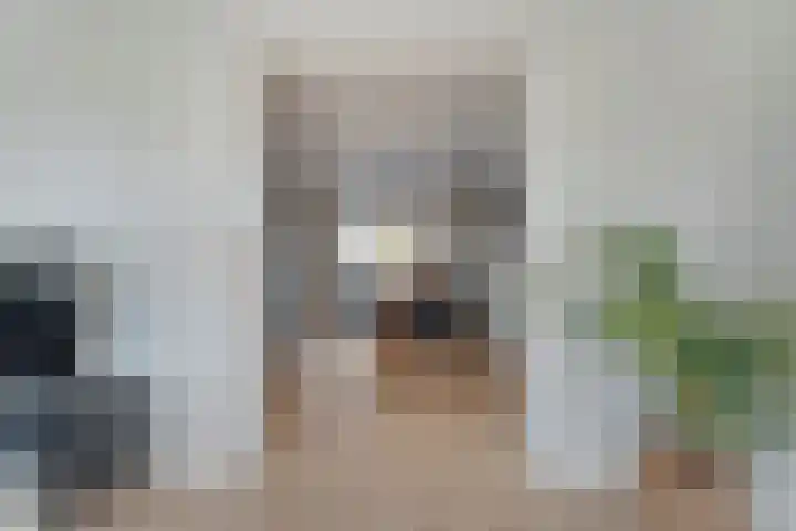 Van Laarstraat 6 Hardenberg thumbnail 22
