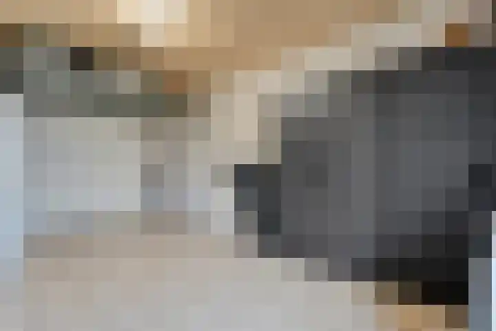 Van Laarstraat 6 Hardenberg thumbnail 32