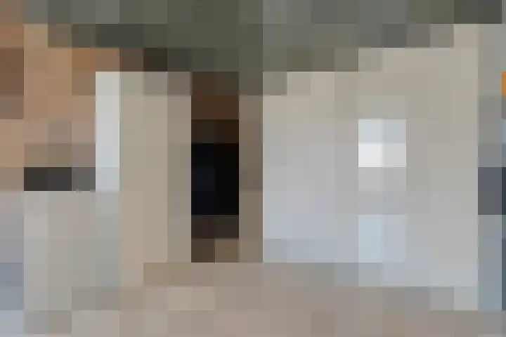 Van Laarstraat 6 Hardenberg thumbnail 34