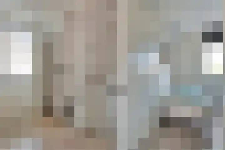 Van Laarstraat 6 Hardenberg thumbnail 35