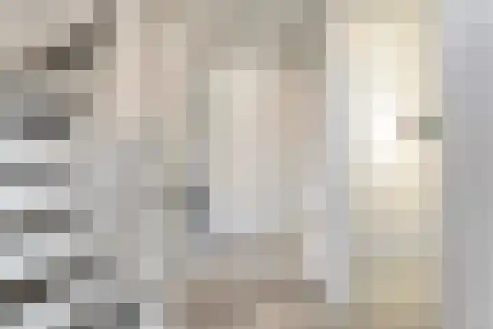Van Laarstraat 6 Hardenberg thumbnail 36