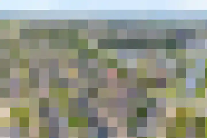 Van Laarstraat 6 Hardenberg thumbnail 4