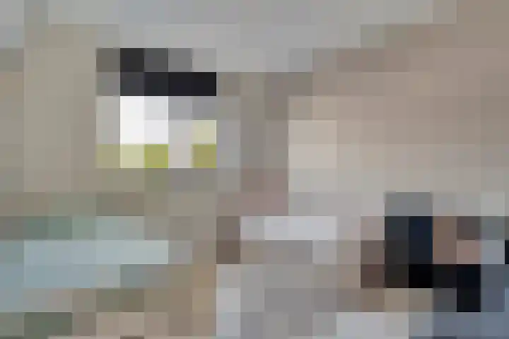 Van Laarstraat 6 Hardenberg thumbnail 40
