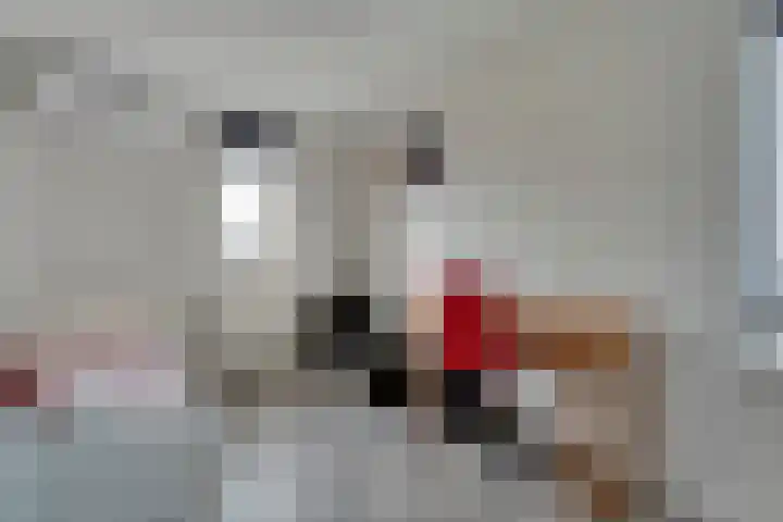 Van Laarstraat 6 Hardenberg thumbnail 42