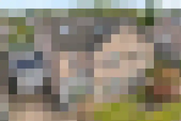 Van Laarstraat 6 Hardenberg thumbnail 5