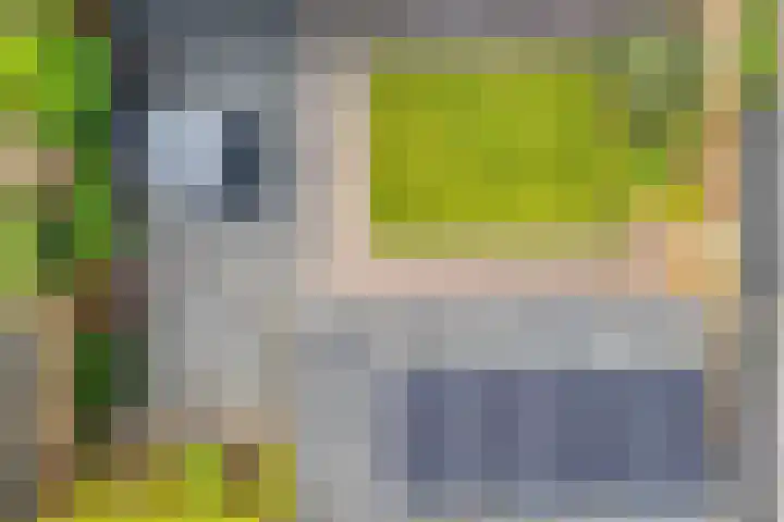 Van Laarstraat 6 Hardenberg thumbnail 6