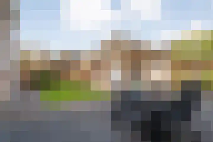 Van Laarstraat 6 Hardenberg thumbnail 60
