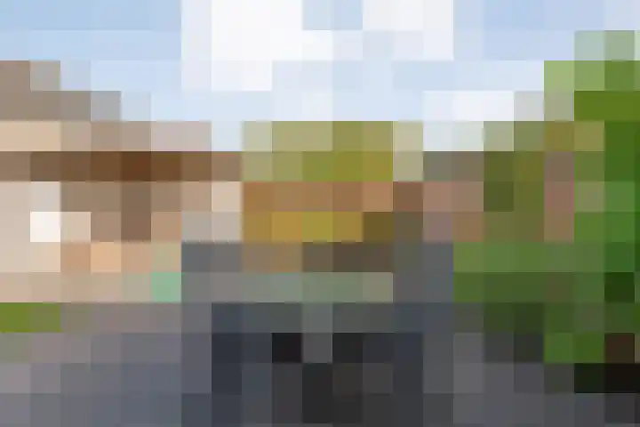 Van Laarstraat 6 Hardenberg thumbnail 61