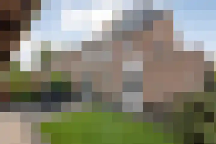 Van Laarstraat 6 Hardenberg thumbnail 63