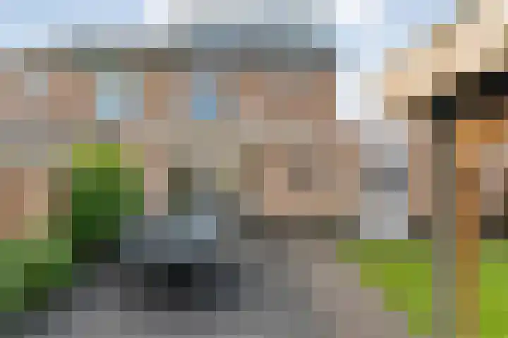 Van Laarstraat 6 Hardenberg thumbnail 67