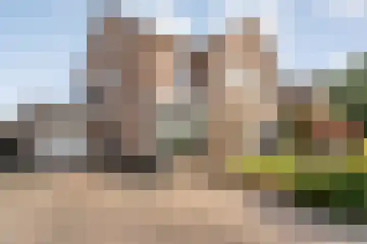 Van Laarstraat 6 Hardenberg thumbnail 9