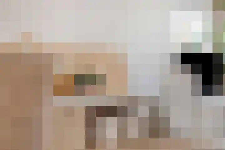 van Laarstraat 7 Heino thumbnail 10