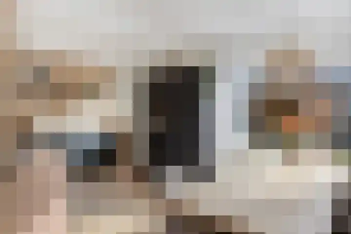 van Laarstraat 7 Heino thumbnail 13