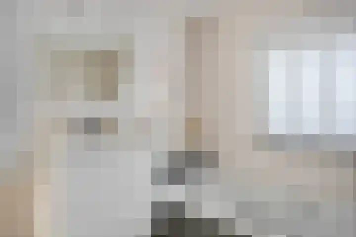 van Laarstraat 7 Heino thumbnail 24