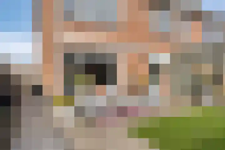 van Laarstraat 7 Heino thumbnail 45