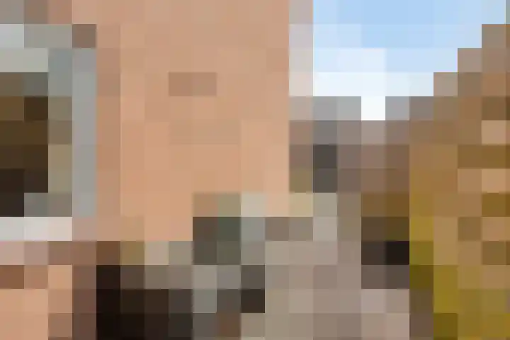 van Laarstraat 7 Heino thumbnail 47