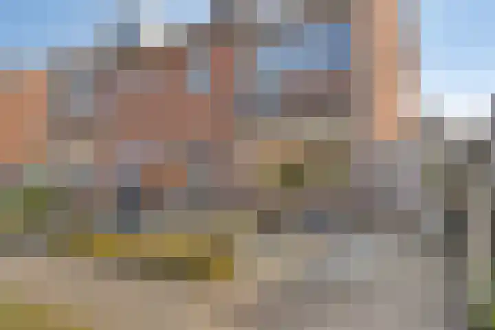 van Laarstraat 7 Heino thumbnail 48