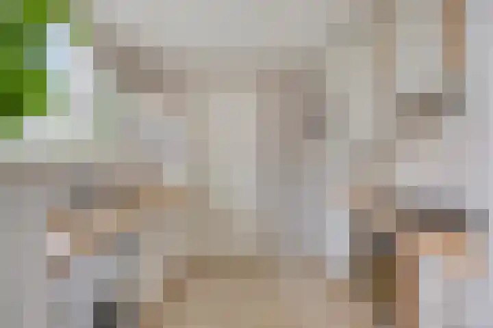 van Laarstraat 8 Heino thumbnail 10