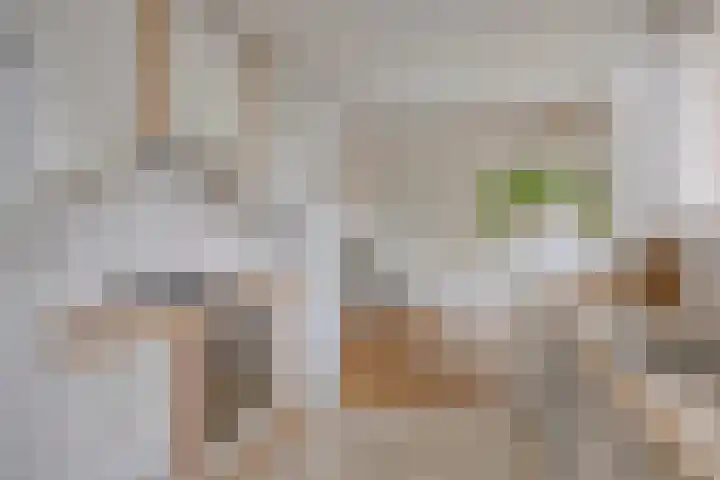 van Laarstraat 8 Heino thumbnail 11