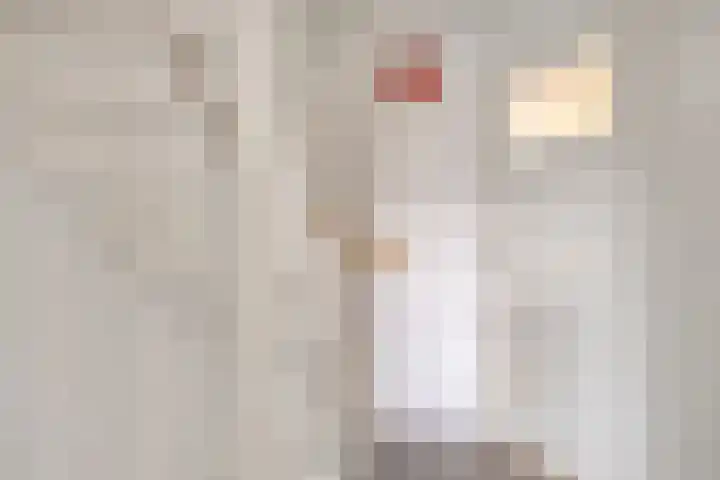 van Laarstraat 8 Heino thumbnail 12