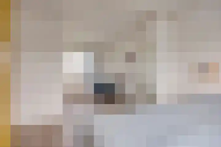 van Laarstraat 8 Heino thumbnail 13