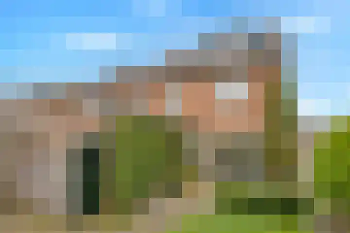 van Laarstraat 8 Heino thumbnail 24