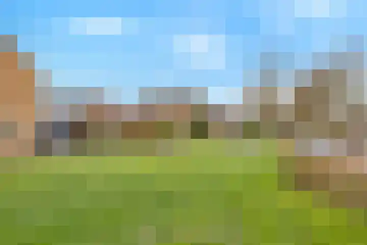 van Laarstraat 8 Heino thumbnail 26