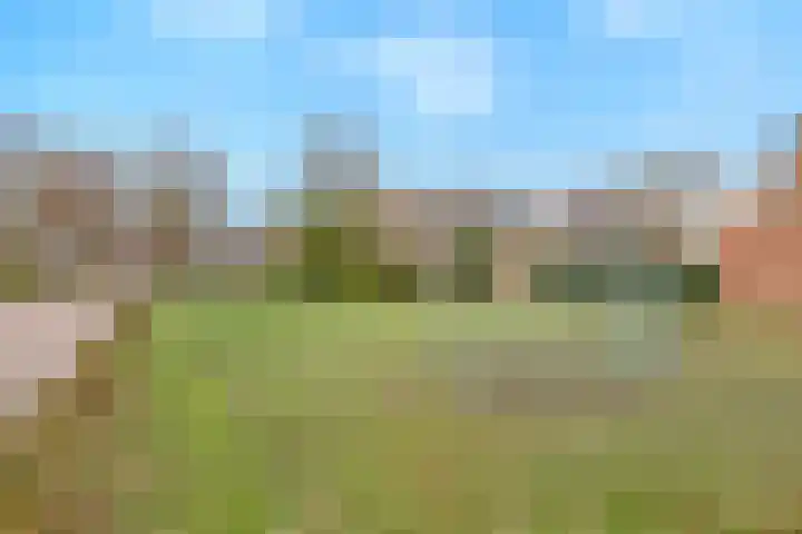 van Laarstraat 8 Heino thumbnail 27