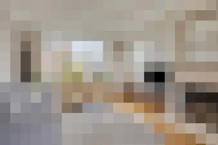 van Laarstraat 8 Heino thumbnail 7