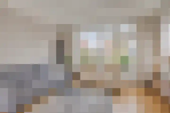 van Laarstraat 8 Heino thumbnail 8