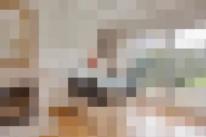 van Laarstraat 8 Heino thumbnail 9