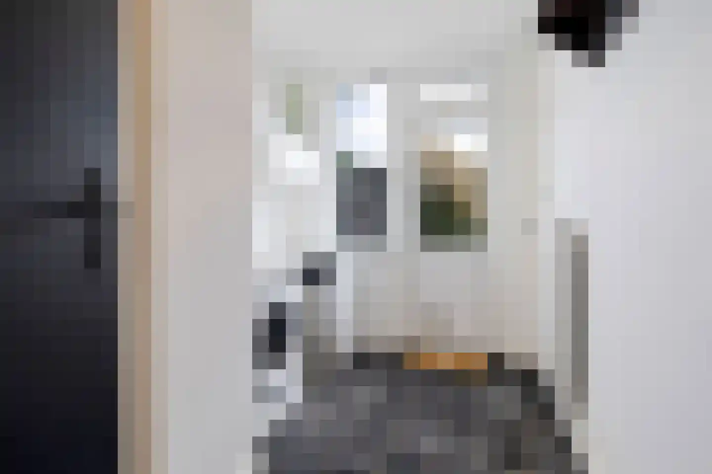 van Laerstraat 10 Venlo thumbnail 21