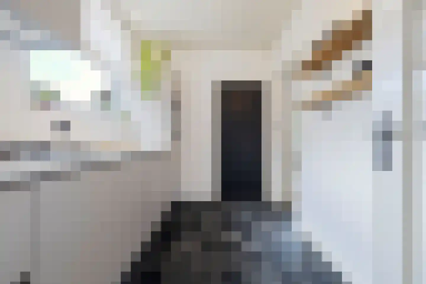 van Laerstraat 10 Venlo thumbnail 6