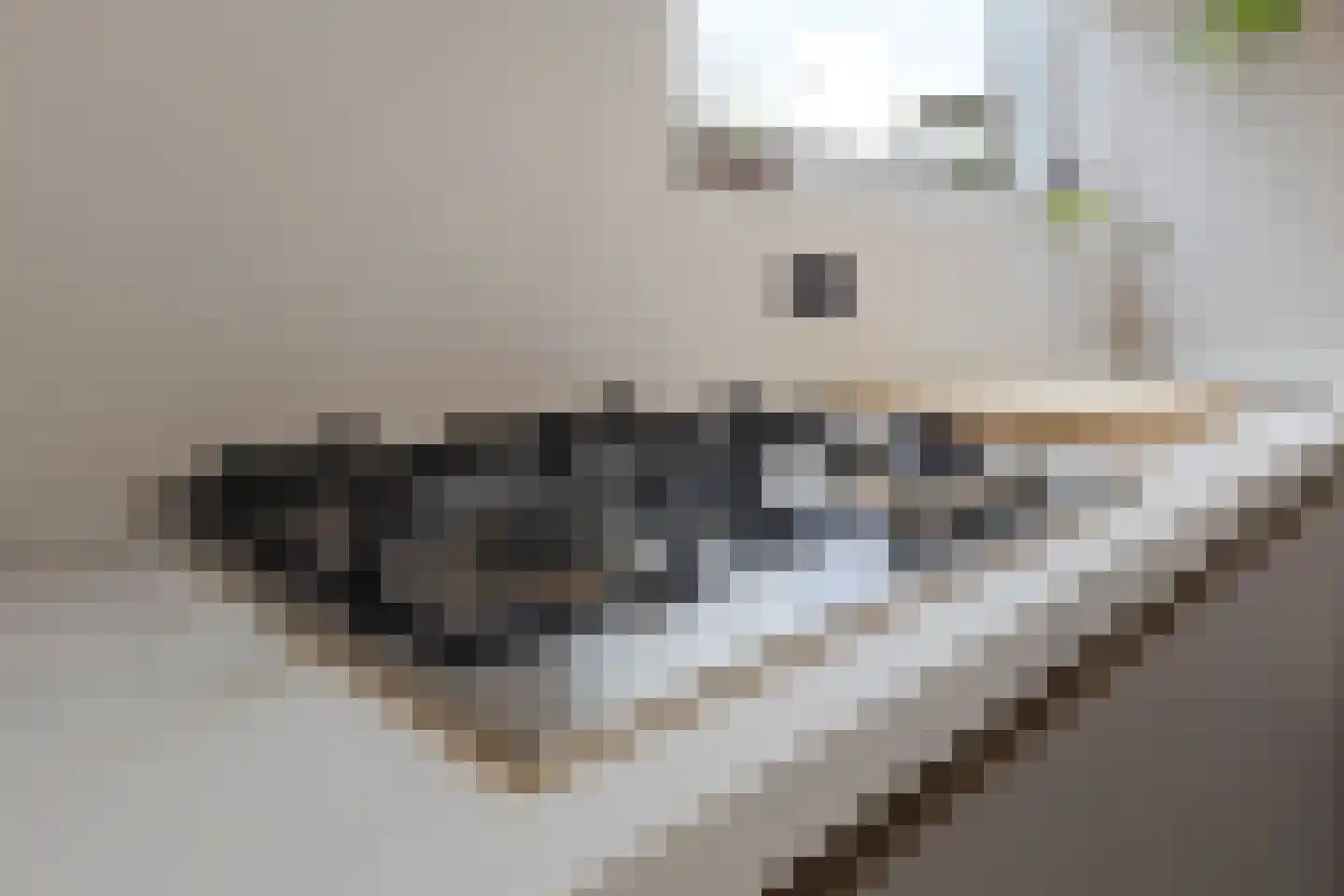 van Laerstraat 10 Venlo thumbnail 9
