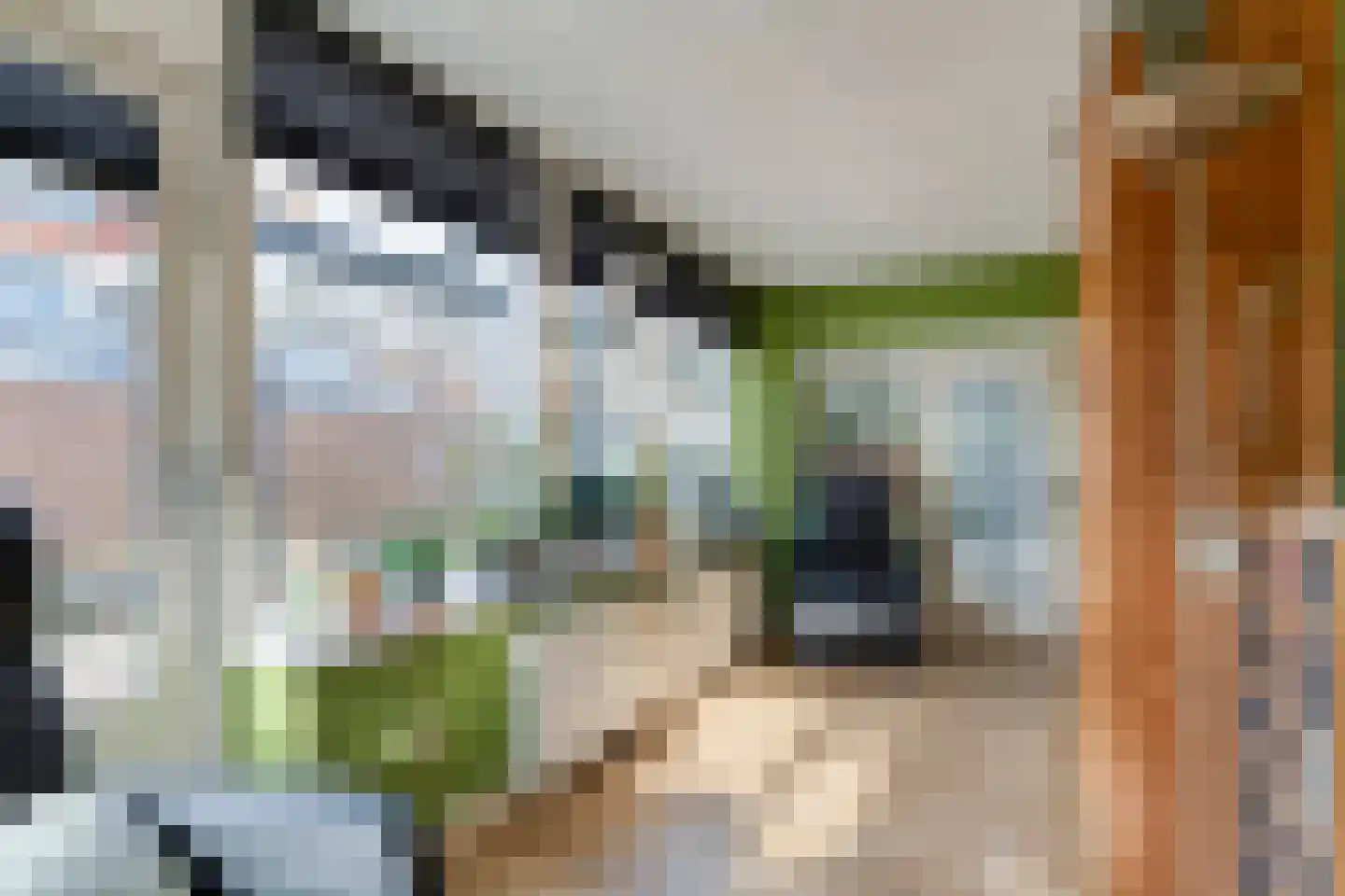 van Laerstraat 4 Ommen thumbnail 10
