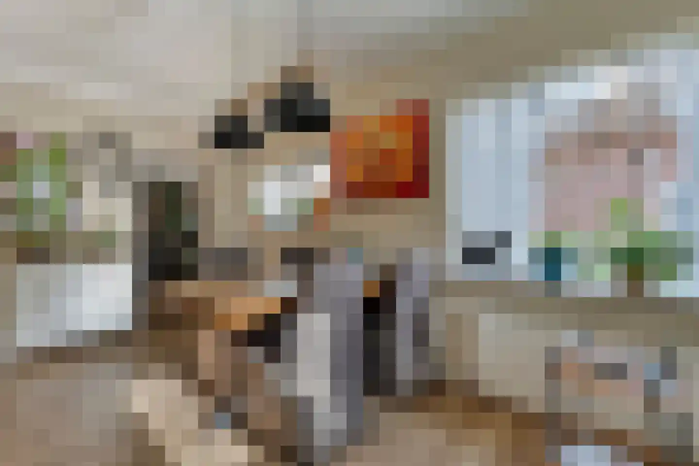 van Laerstraat 4 Ommen thumbnail 11