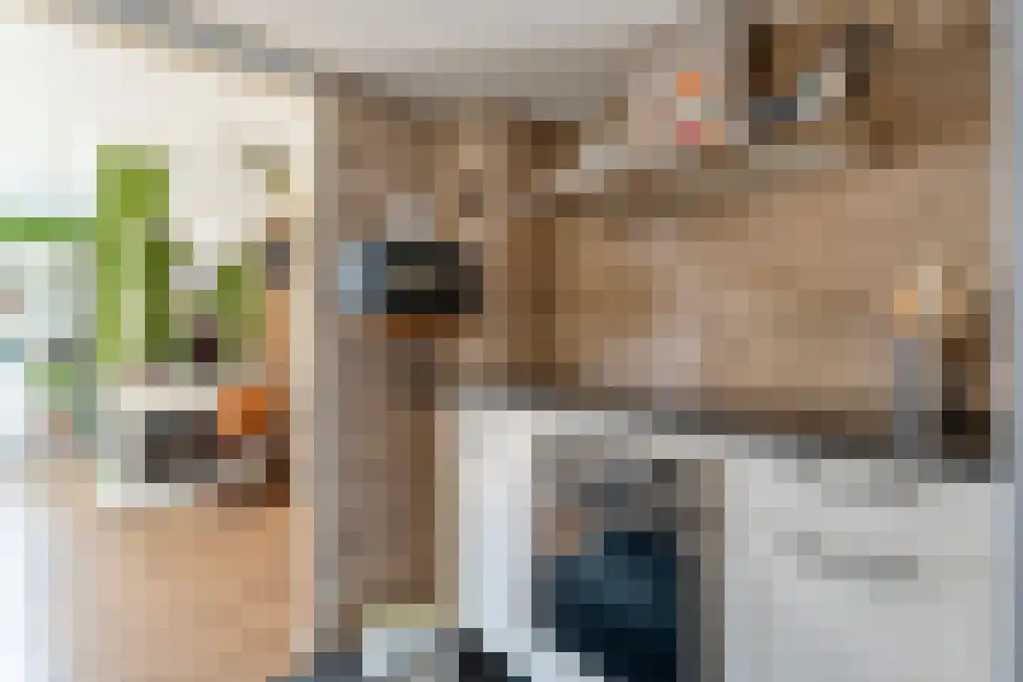 van Laerstraat 4 Ommen thumbnail 12