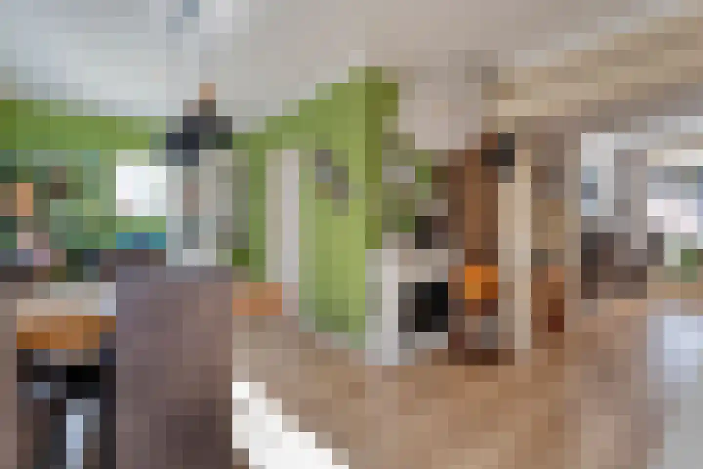 van Laerstraat 4 Ommen thumbnail 12