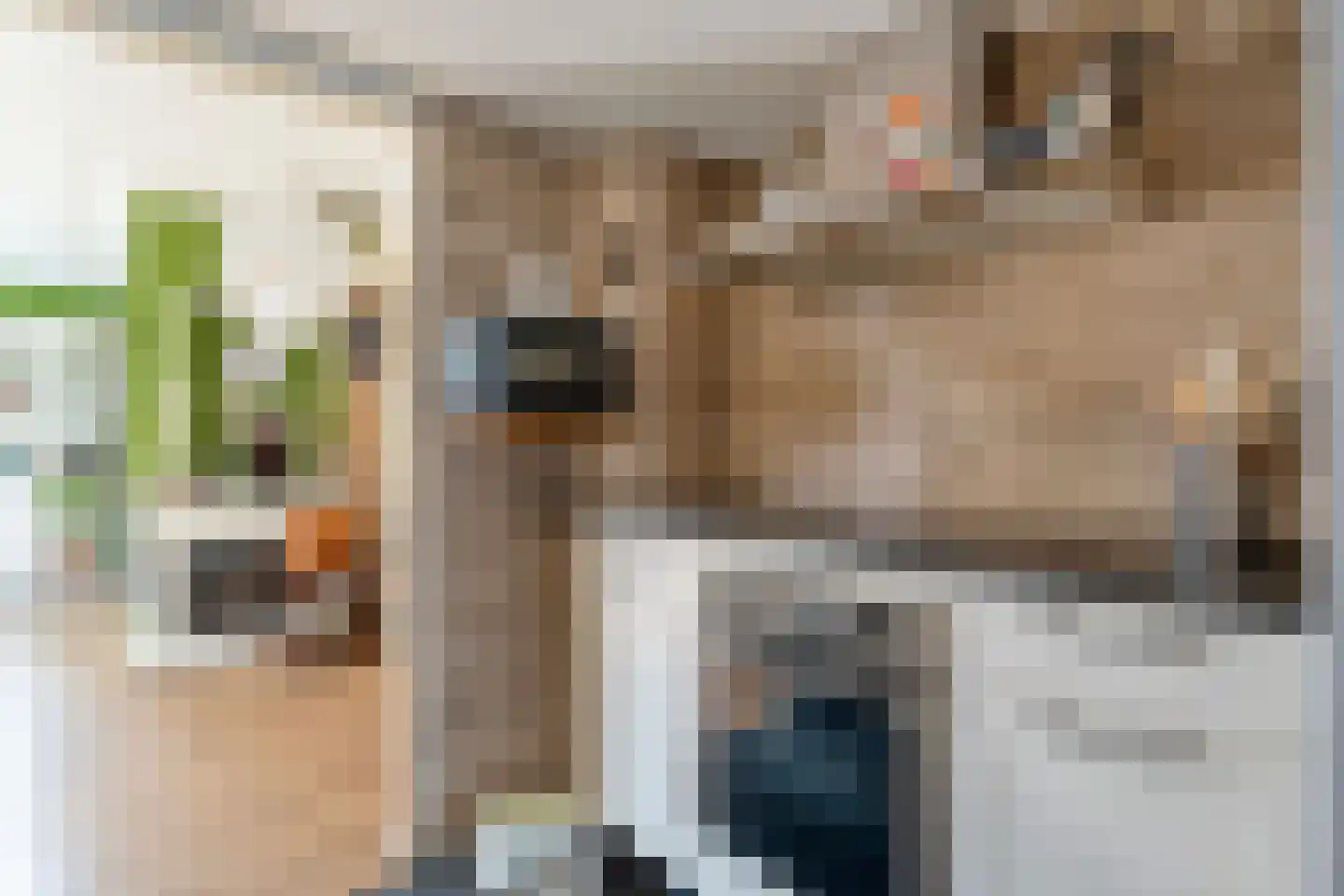 van Laerstraat 4 Ommen thumbnail 13