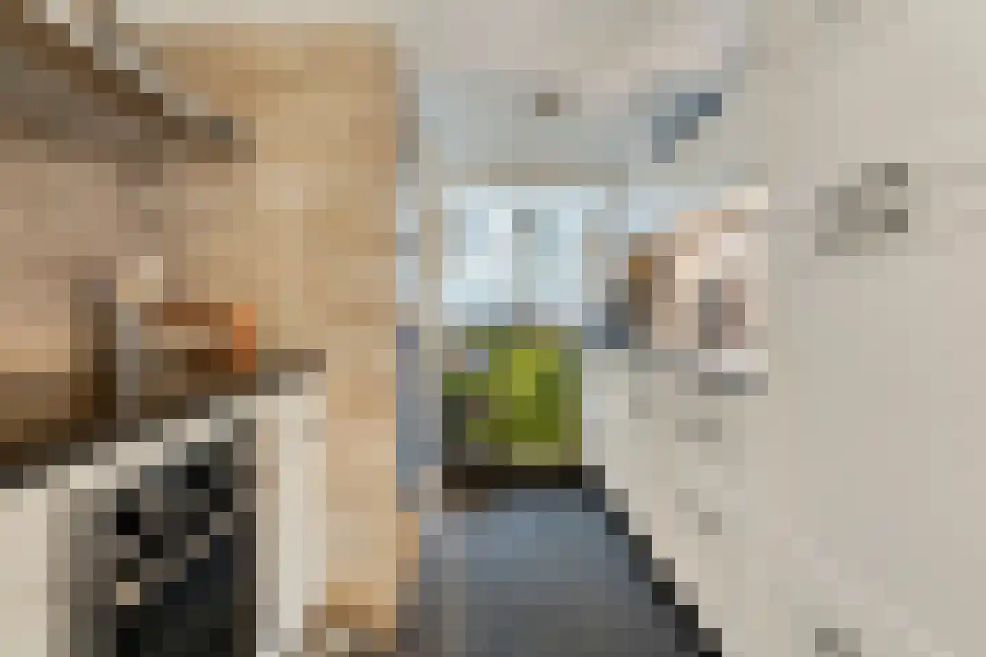 van Laerstraat 4 Ommen thumbnail 14