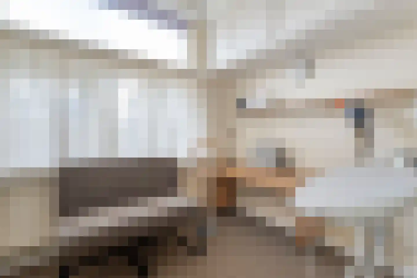 van Laerstraat 4 Ommen thumbnail 20