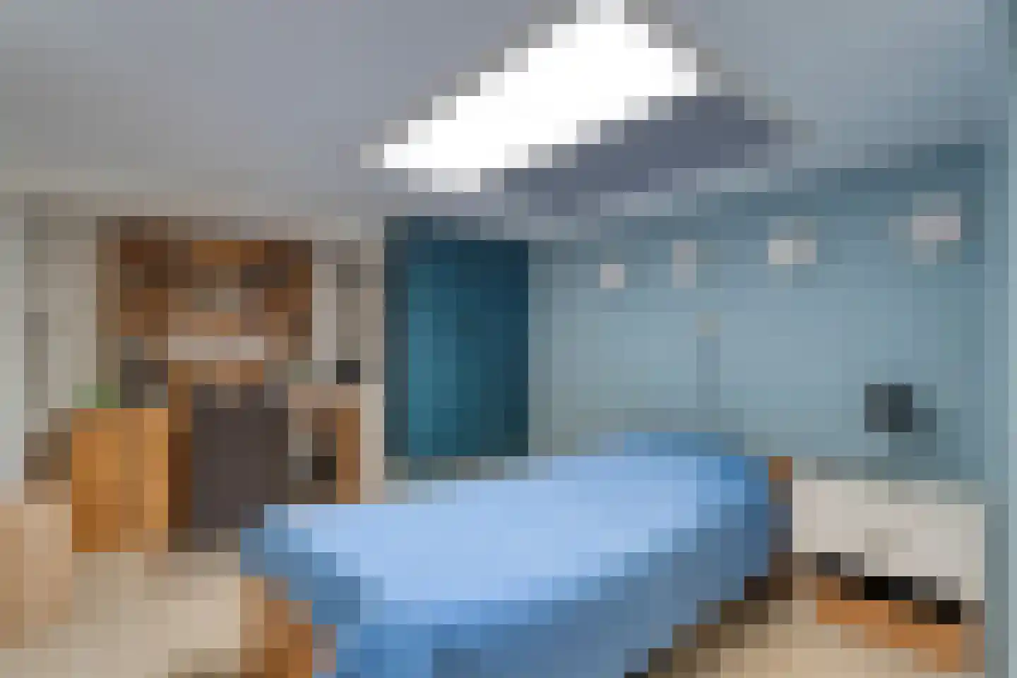 van Laerstraat 4 Ommen thumbnail 21