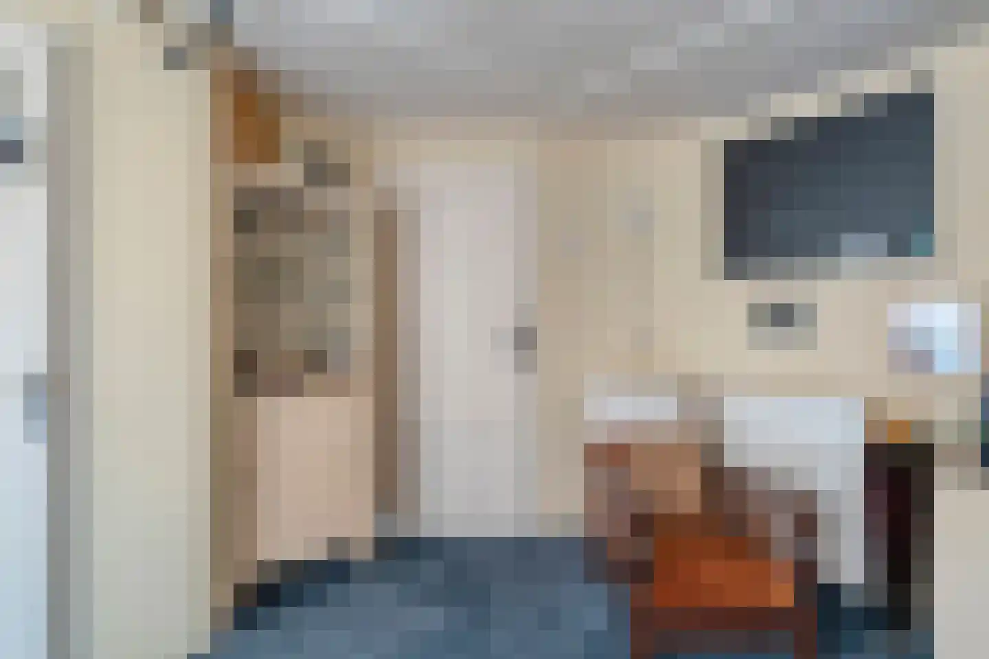 van Laerstraat 4 Ommen thumbnail 23