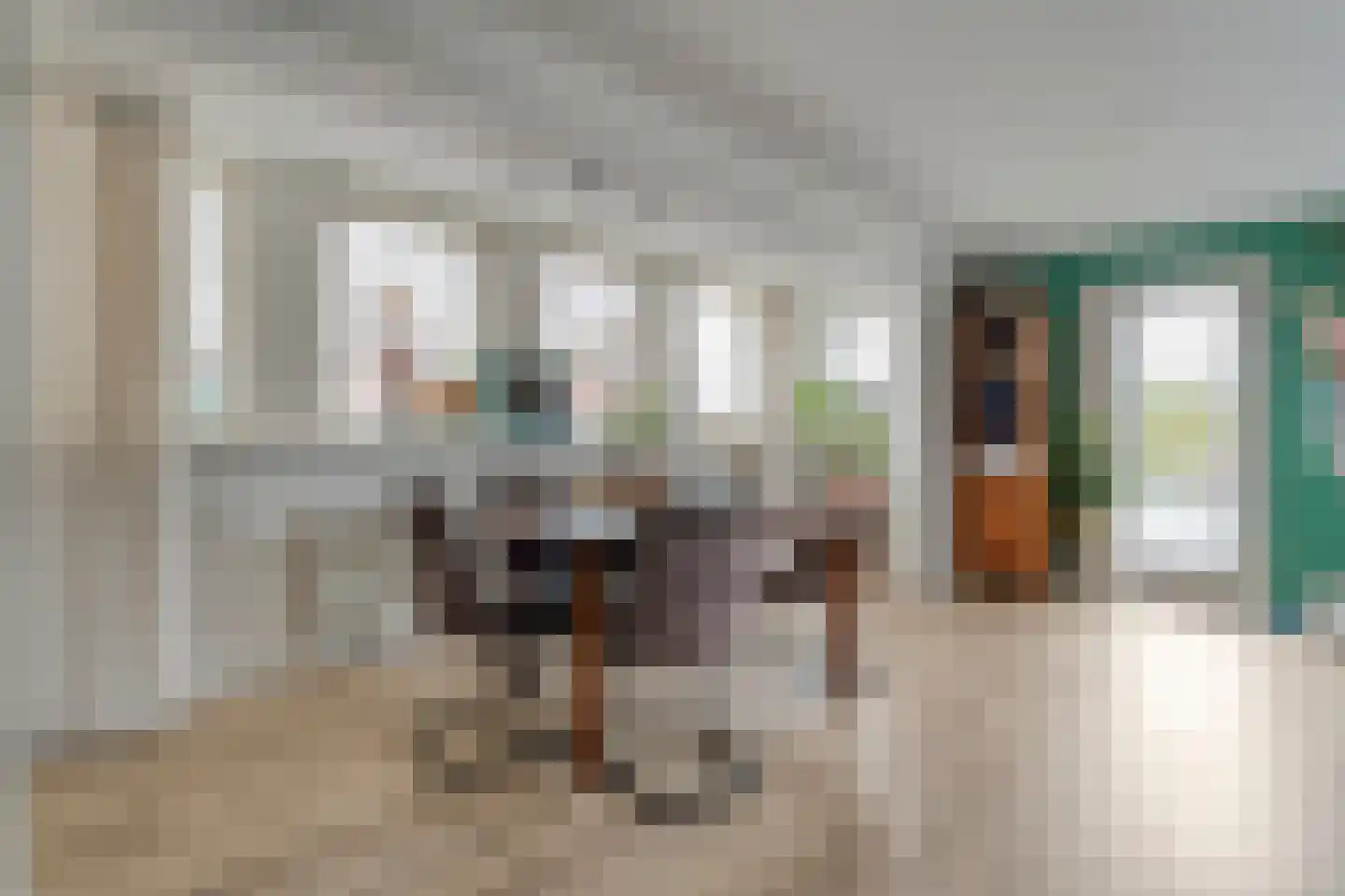 van Laerstraat 4 Ommen thumbnail 26