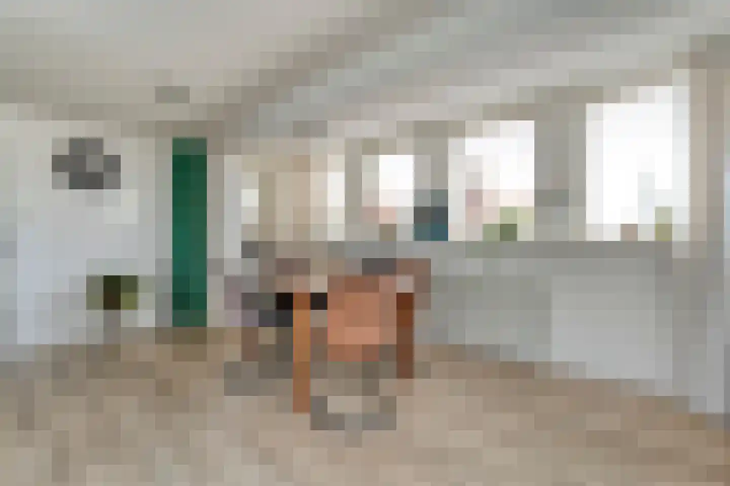 van Laerstraat 4 Ommen thumbnail 28